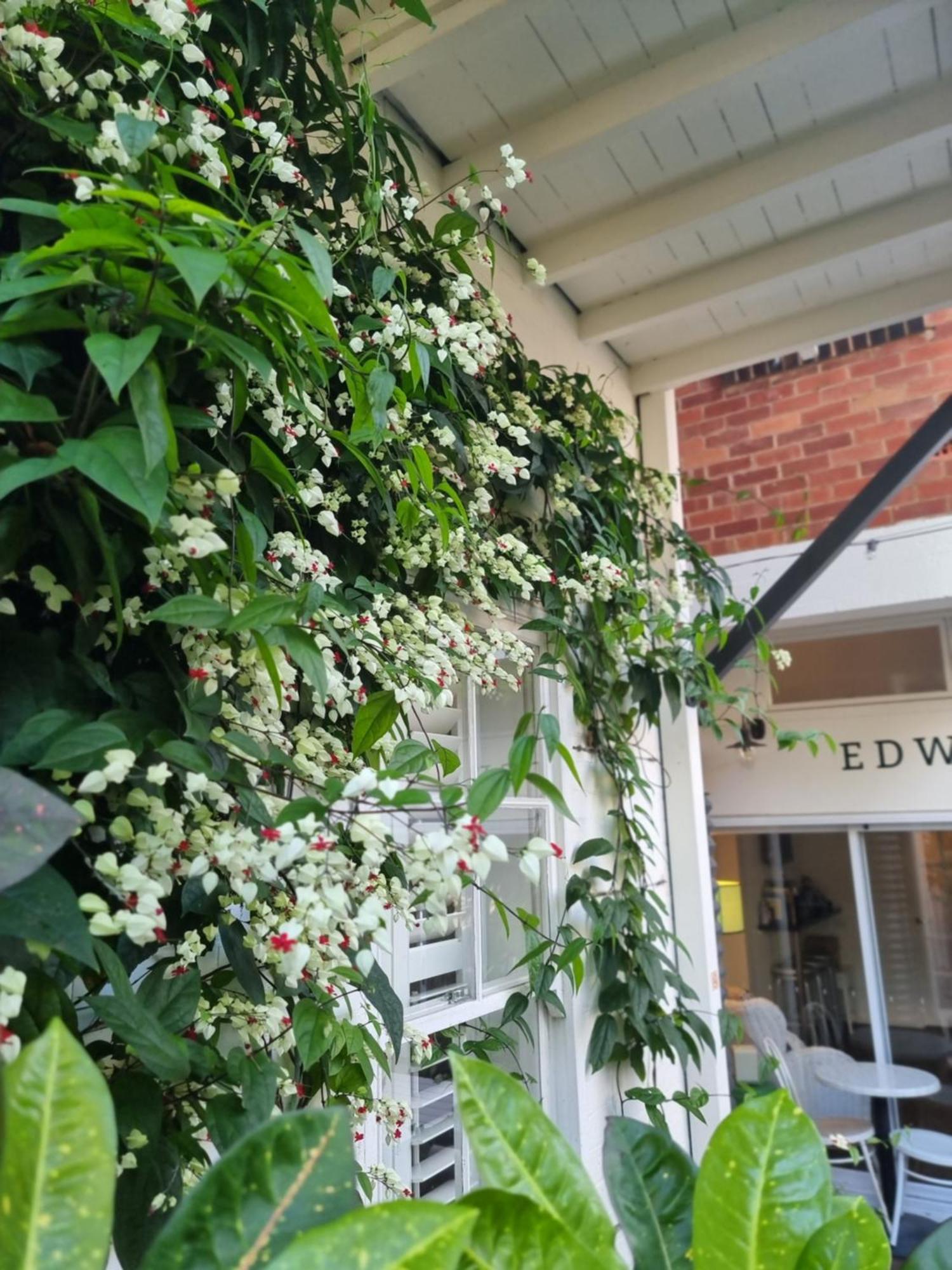 Edward Lodge New Fam Brisbane Bagian luar foto